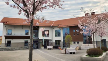 Torget Kulturhuset Körsbärsblom.