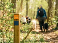 Platåbergens Geopark 0060.