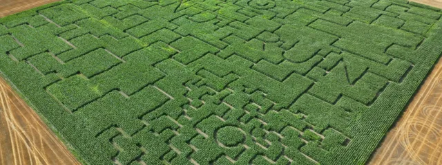 Majslabyrinten 2025 Aron.