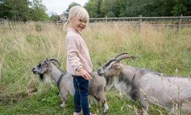 04092019 St8a3575foto Annette Bjorkman Memories4life.